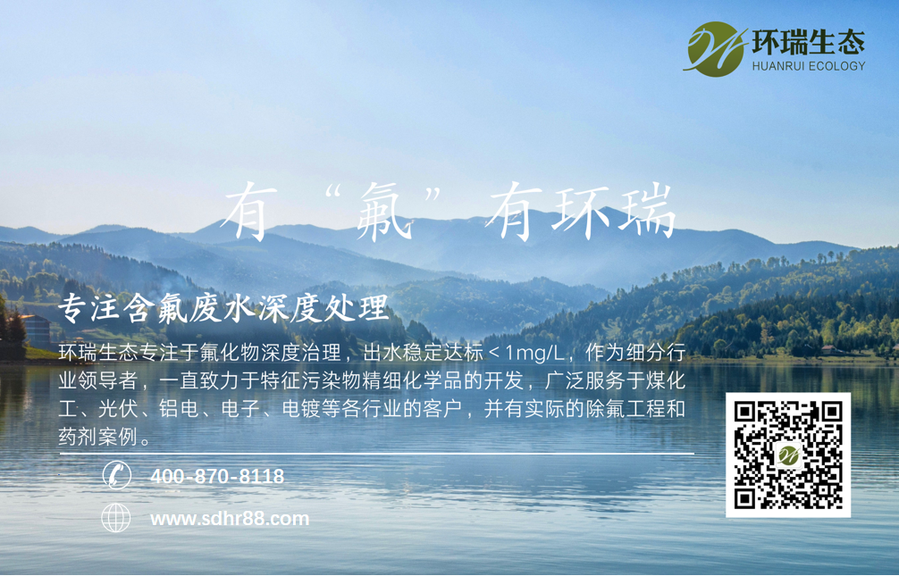 環瑞除氟劑除氟